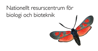 Bi-lagan INSPIRATION OCH INFORMATION FÖR LÄRARE I SKOLAN BI-LAGAN NR 1 MARS 2014 Webbresurs GM-växter 3 Energi på