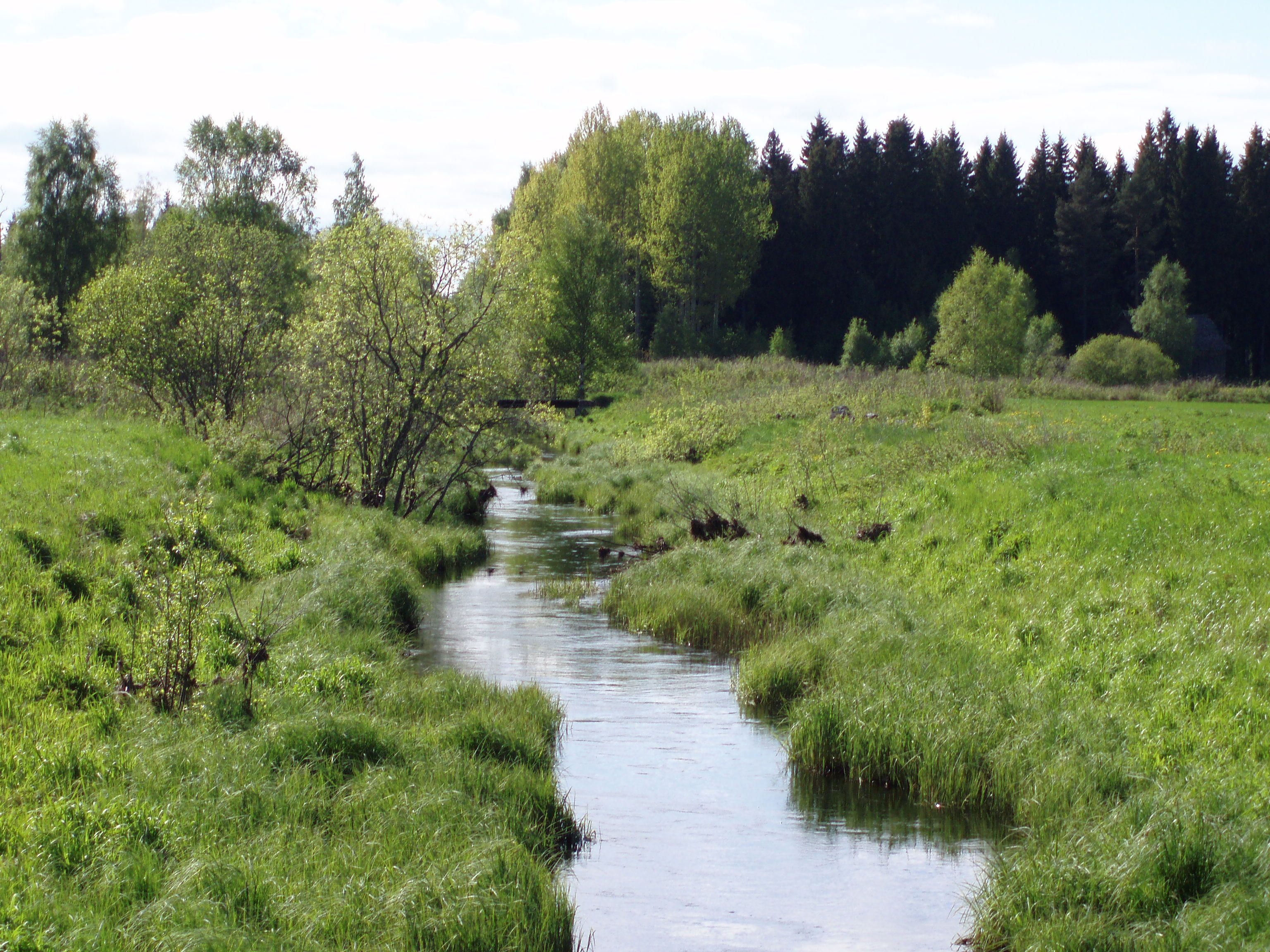Påverkan av torvbrytning på fem vattendrag i Gävleborgs län