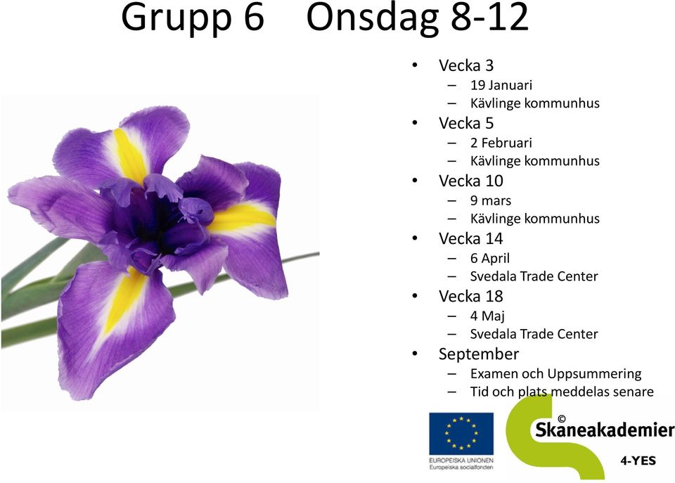 14 6 April Vecka 18 4 Maj September Examen
