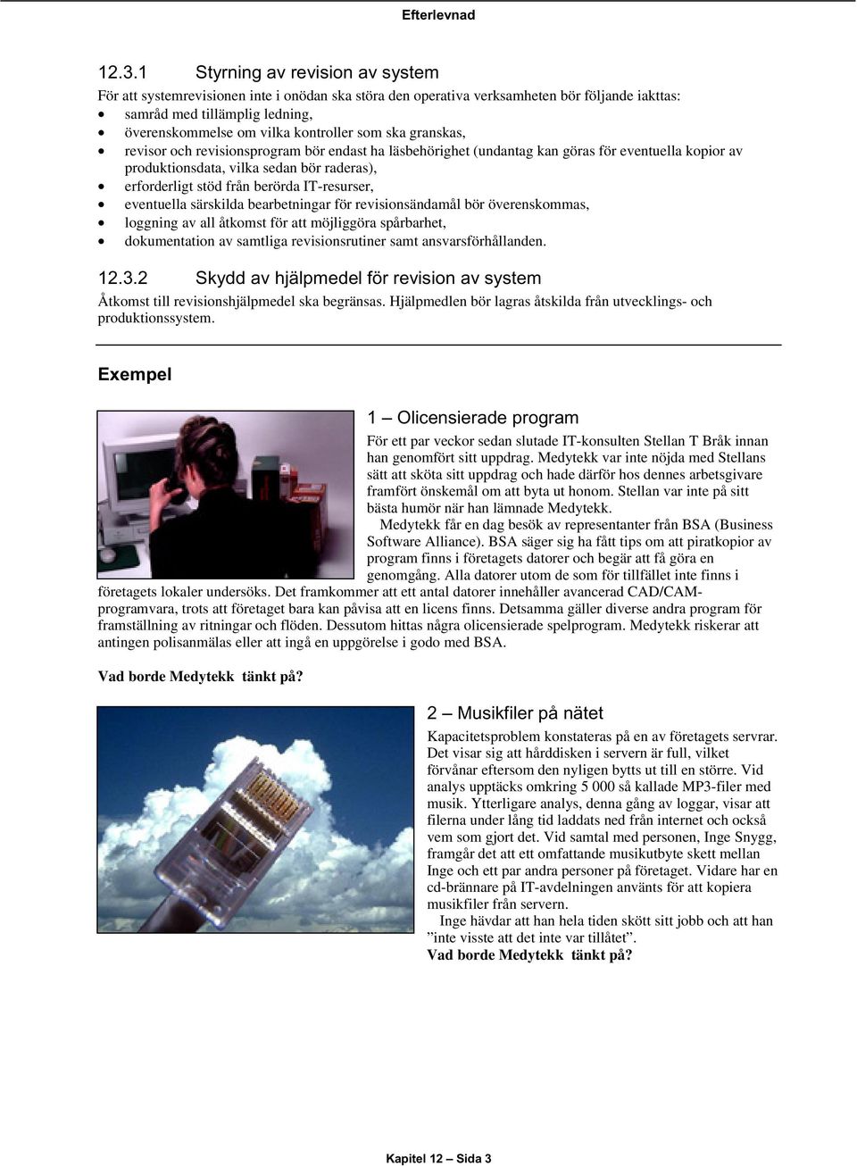 berörda IT-resurser, eventuella särskilda bearbetningar för revisionsändamål bör överenskommas, loggning av all åtkomst för att möjliggöra spårbarhet, dokumentation av samtliga revisionsrutiner samt