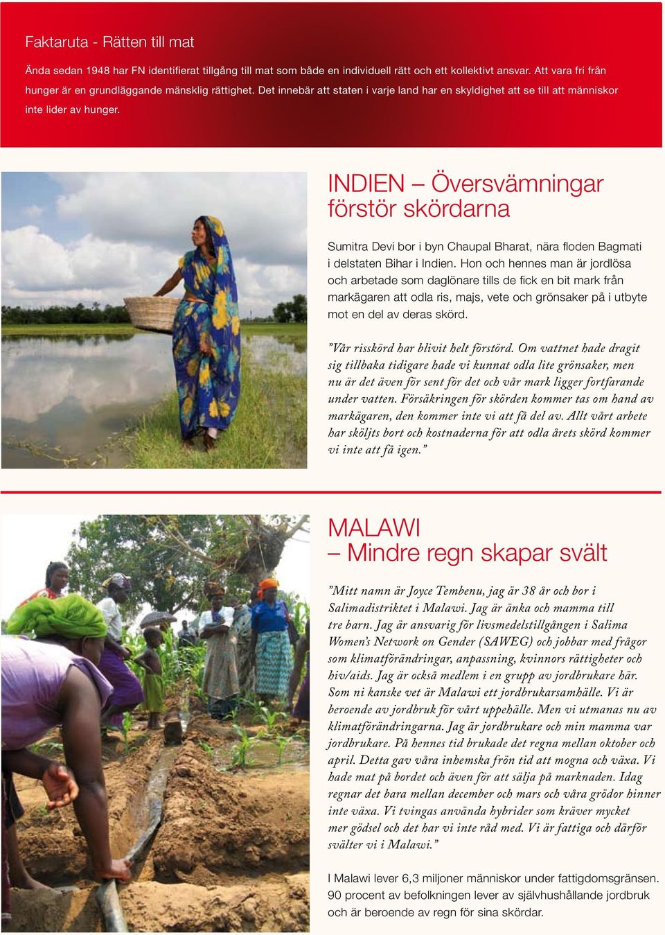 INDIEN Översvämningar förstör skördarna Sumitra Devi bor i byn Chaupal Bharat, nära floden Bagmati i delstaten Bihar i Indien.