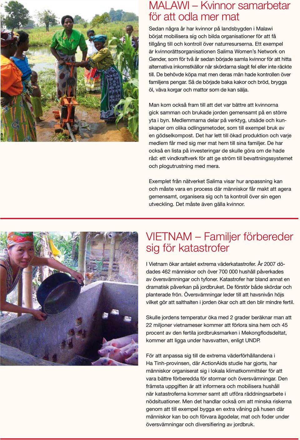 Ett exempel är kvinnorättsorganisationen Salima Women s Network on Gender, som för två år sedan började samla kvinnor för att hitta alternativa inkomstkällor när skördarna slagit fel eller inte