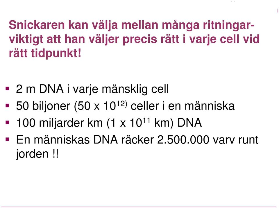 2 m DNA i varje mänsklig cell 50 biljoner (50 x 10 12) celler i en
