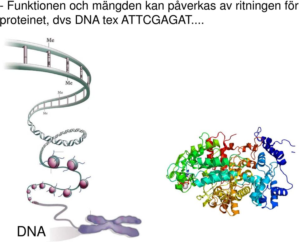 ritningen för