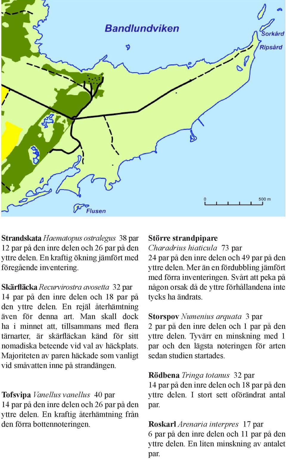 Man skall dock ha i minnet att, tillsammans med flera tärnarter, är skärfläckan känd för sitt nomadiska beteende vid val av häckplats.