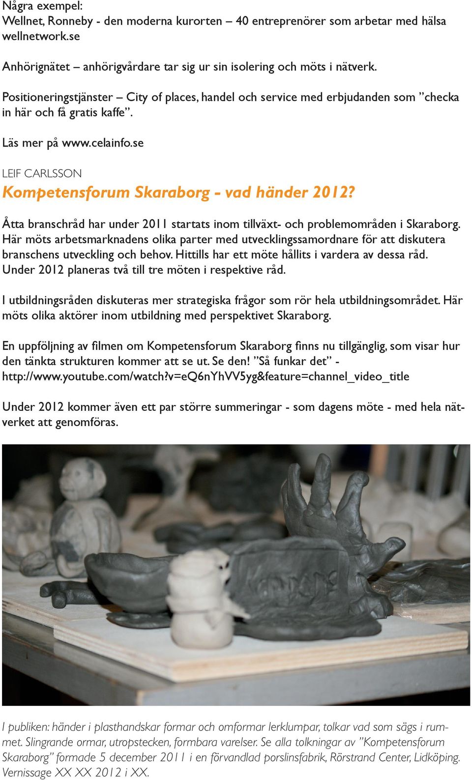 Åtta branschråd har under 2011 startats inom tillväxt- och problemområden i Skaraborg.