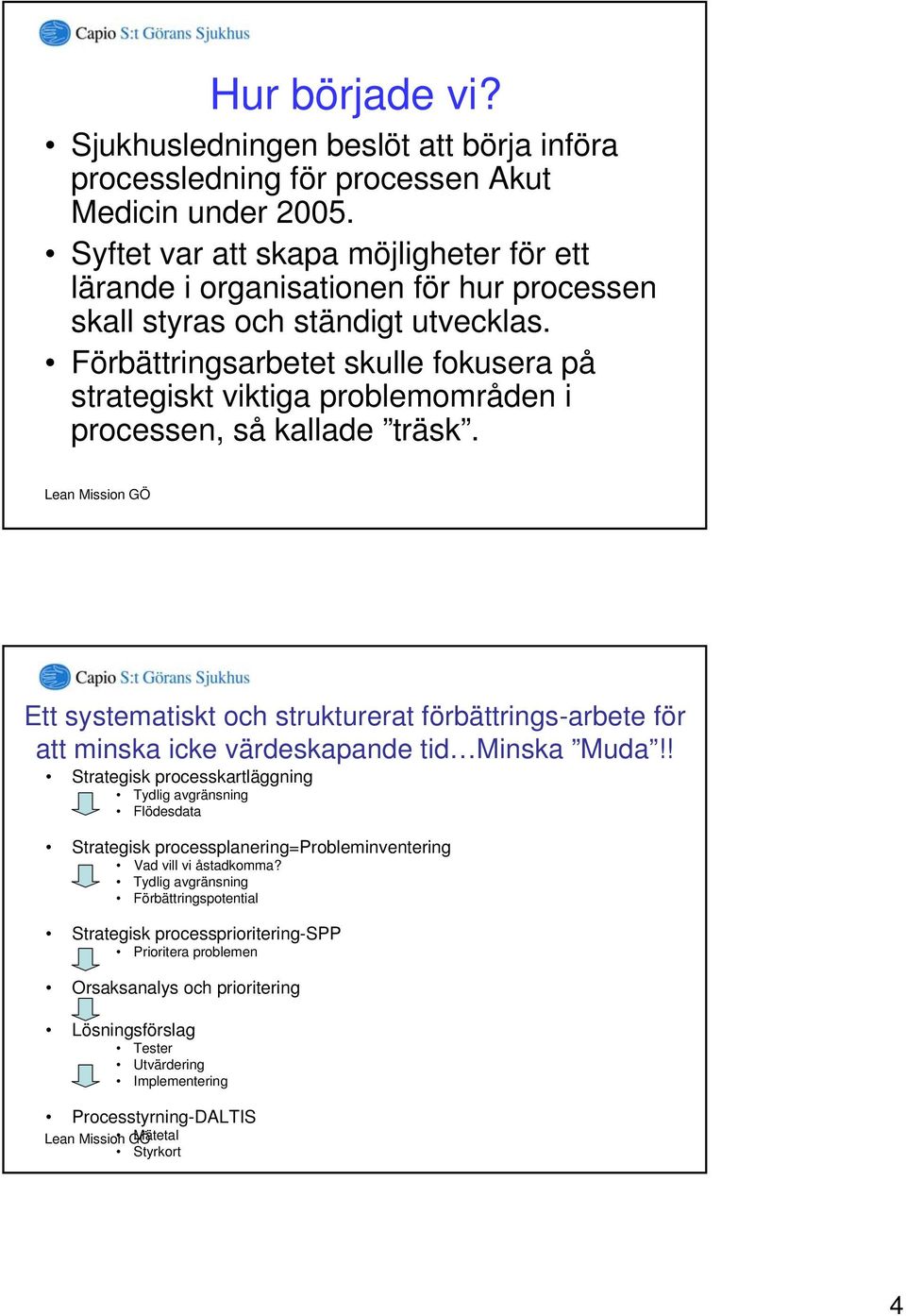 Förbättringsarbetet skulle fokusera på strategiskt viktiga problemområden i processen, så kallade träsk.