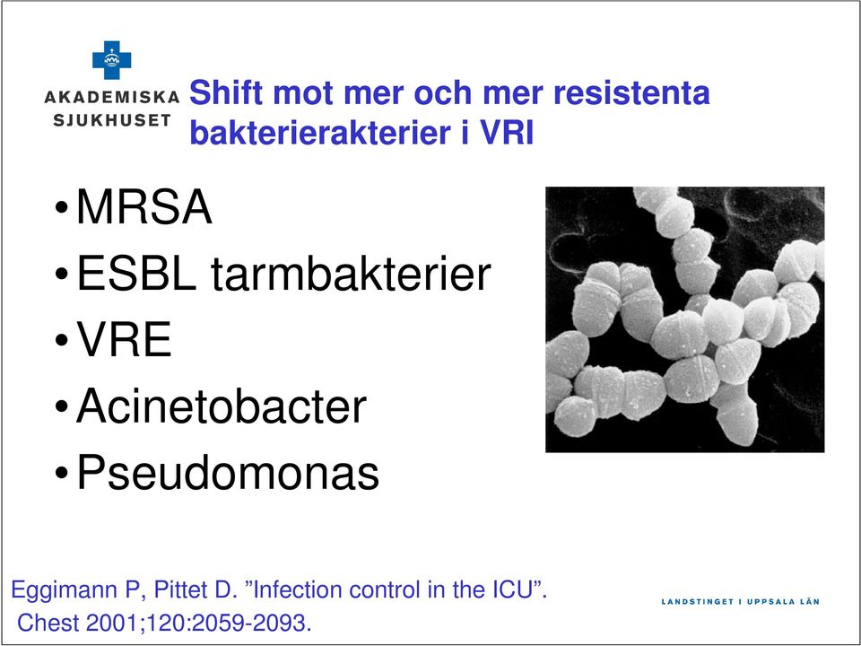 Acinetobacter Pseudomonas Eggimann P, Pittet D.