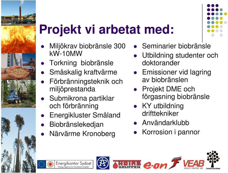 Biobränslekedjan Närvärme Kronoberg Seminarier biobränsle Utbildning studenter och doktorander Emissioner