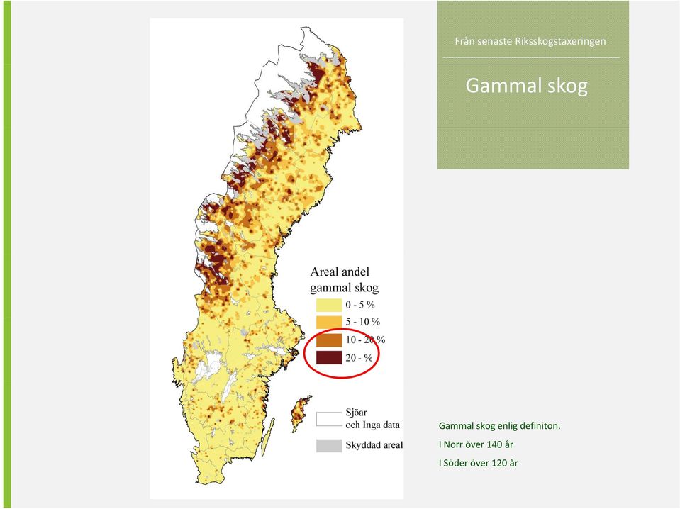 skog Gammal skog enlig