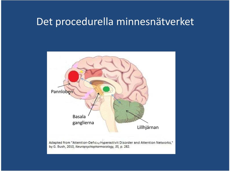 Pannloben Basala