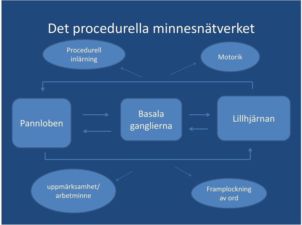 Pannloben Basala ganglierna