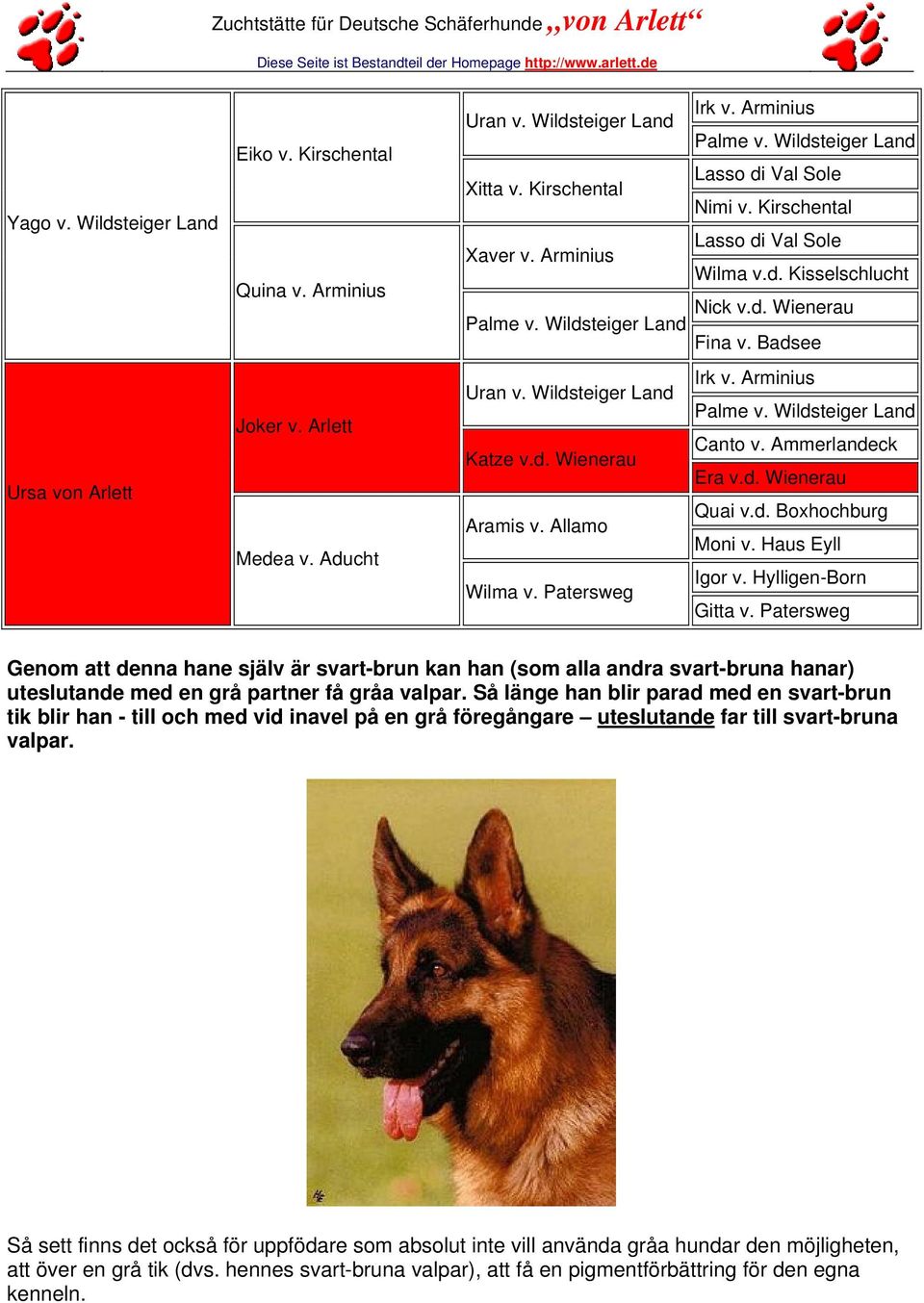 Wildsteiger Land Katze v.d. Wienerau Aramis v. Allamo Wilma v. Patersweg Irk v. Arminius Palme v. Wildsteiger Land Canto v. Ammerlandeck Era v.d. Wienerau Quai v.d. Boxhochburg Moni v.