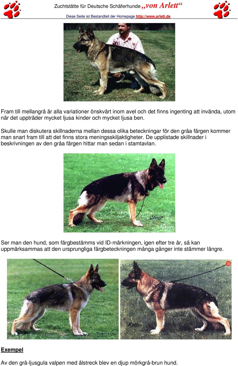 De upplistade skillnader i beskrivningen av den gråa färgen hittar man sedan i stamtavlan.