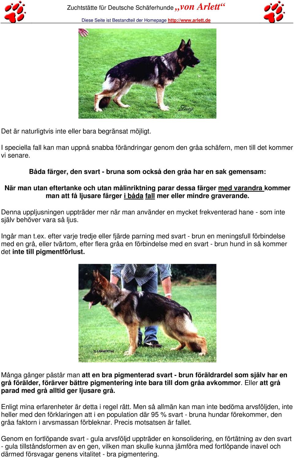 eller mindre graverande. Denna uppljusningen uppträder mer när man använder en mycket frekventerad hane - som inte själv behöver vara så ljus. Ingår man t.ex.