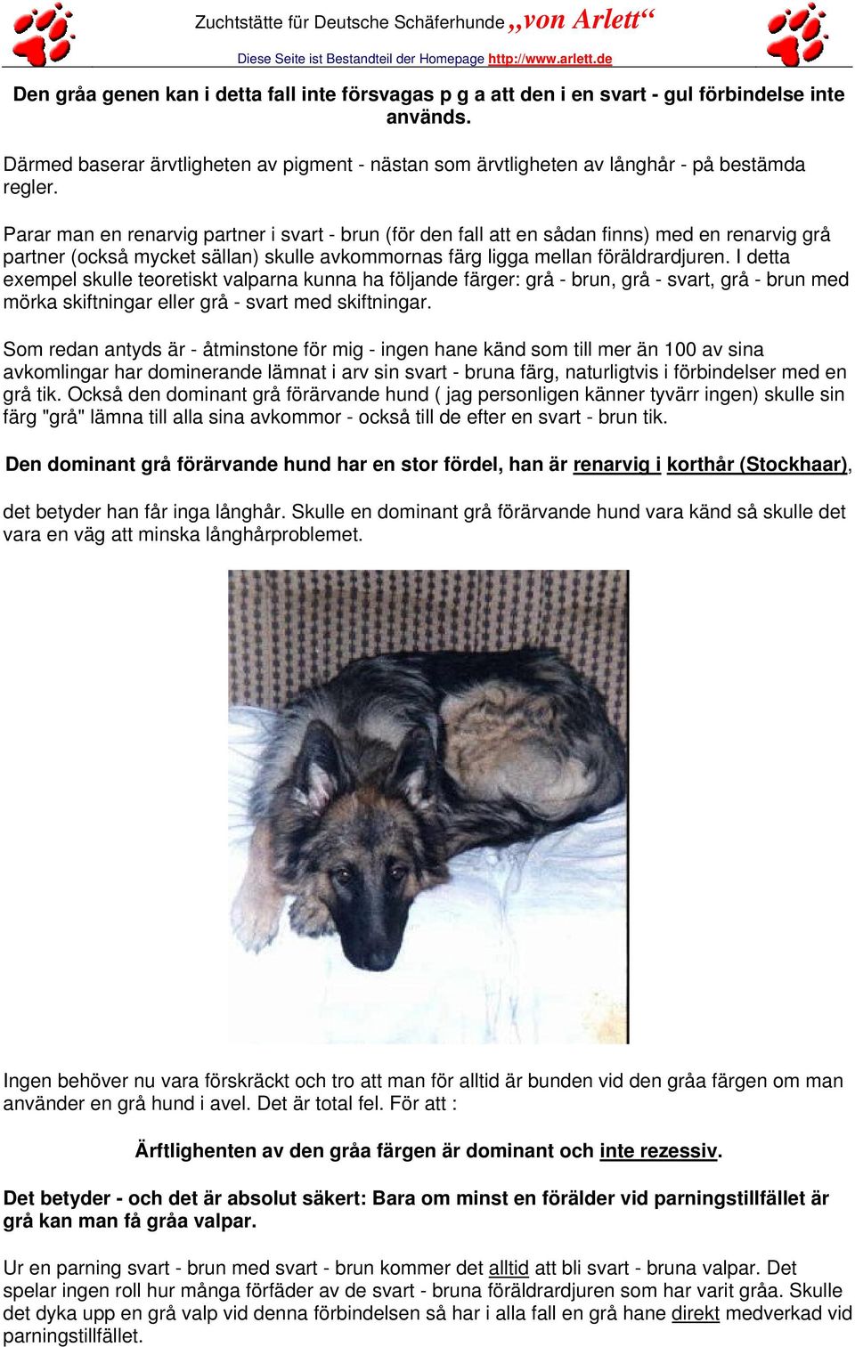 Parar man en renarvig partner i svart - brun (för den fall att en sådan finns) med en renarvig grå partner (också mycket sällan) skulle avkommornas färg ligga mellan föräldrardjuren.