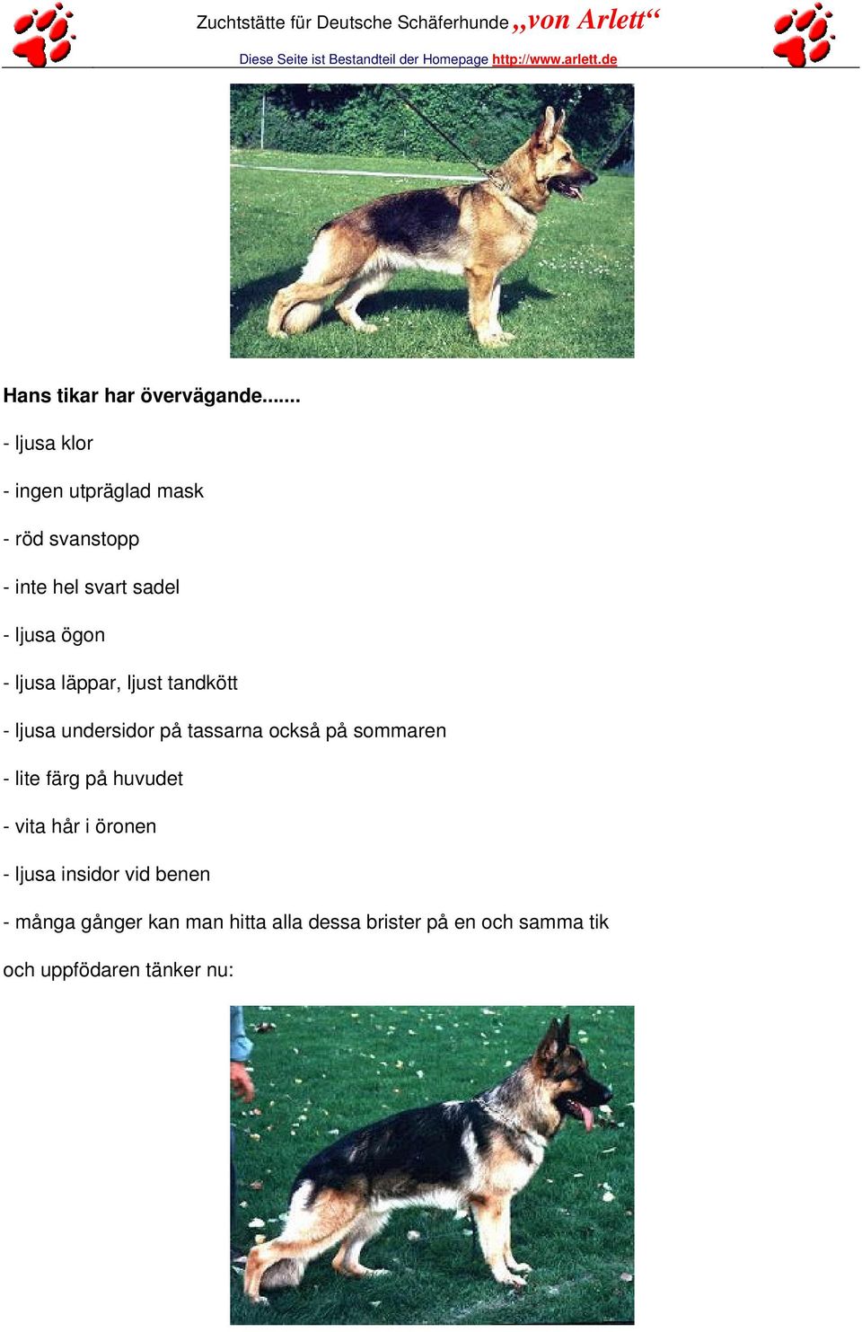 ögon - ljusa läppar, ljust tandkött - ljusa undersidor på tassarna också på sommaren -