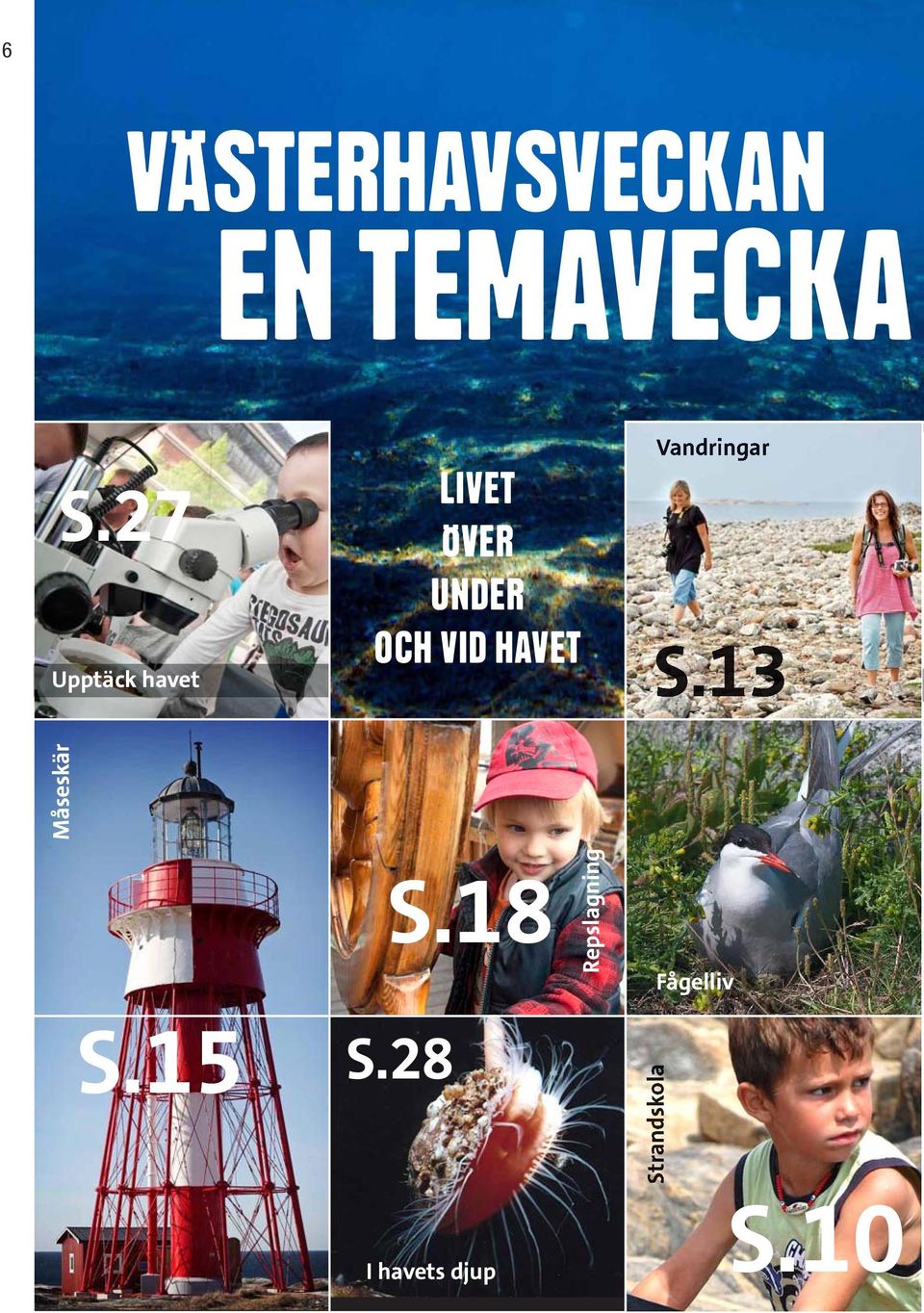 HAVET Vandringar S.13 Måseskär S.15 S.18 S.