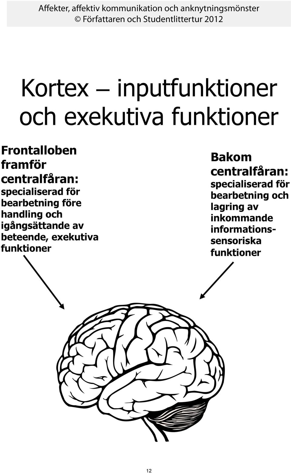 igångsättande av beteende, exekutiva funktioner Bakom centralfåran: