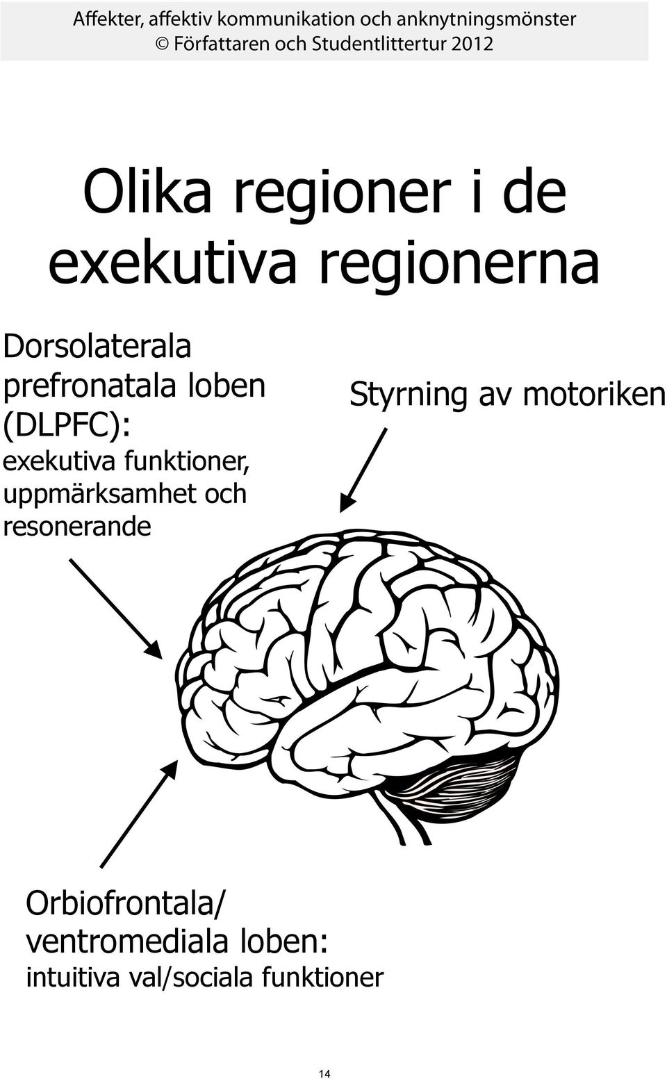 uppmärksamhet och resonerande Styrning av motoriken