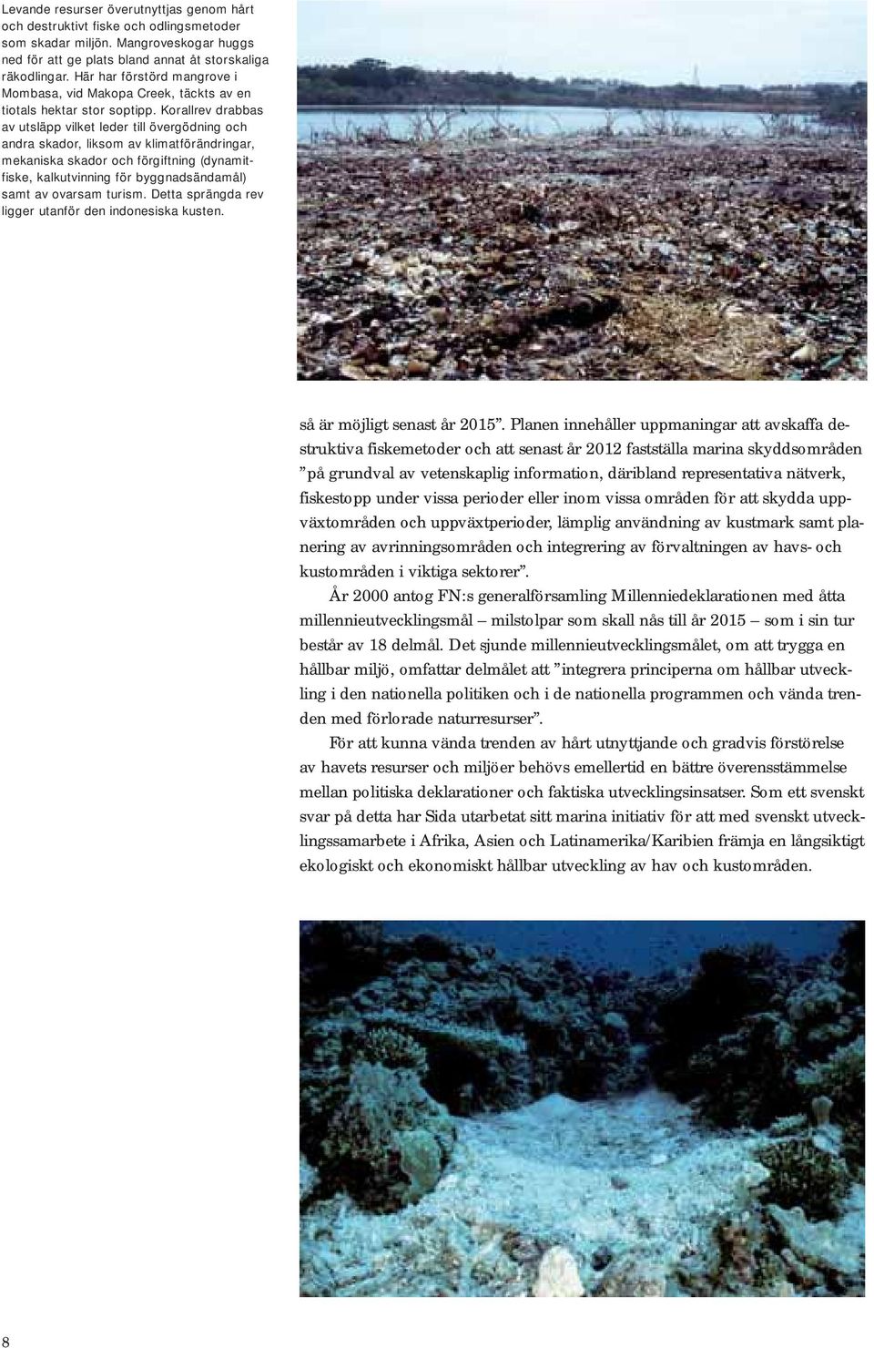 Korallrev drabbas av utsläpp vilket leder till övergödning och andra skador, liksom av klimatförändringar, mekaniska skador och förgiftning (dynamitfiske, kalkutvinning för byggnadsändamål) samt av