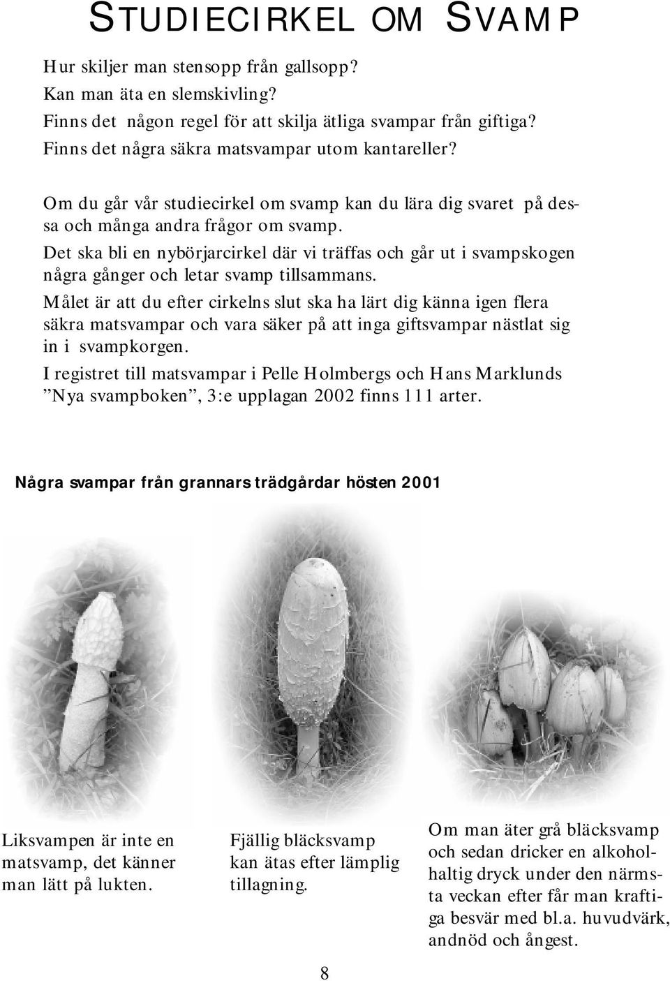 D etska blien nybörjarcirkeldärviträffasoch gårutisvam pskogen några gångeroch letarsvam p tillsam m ans.