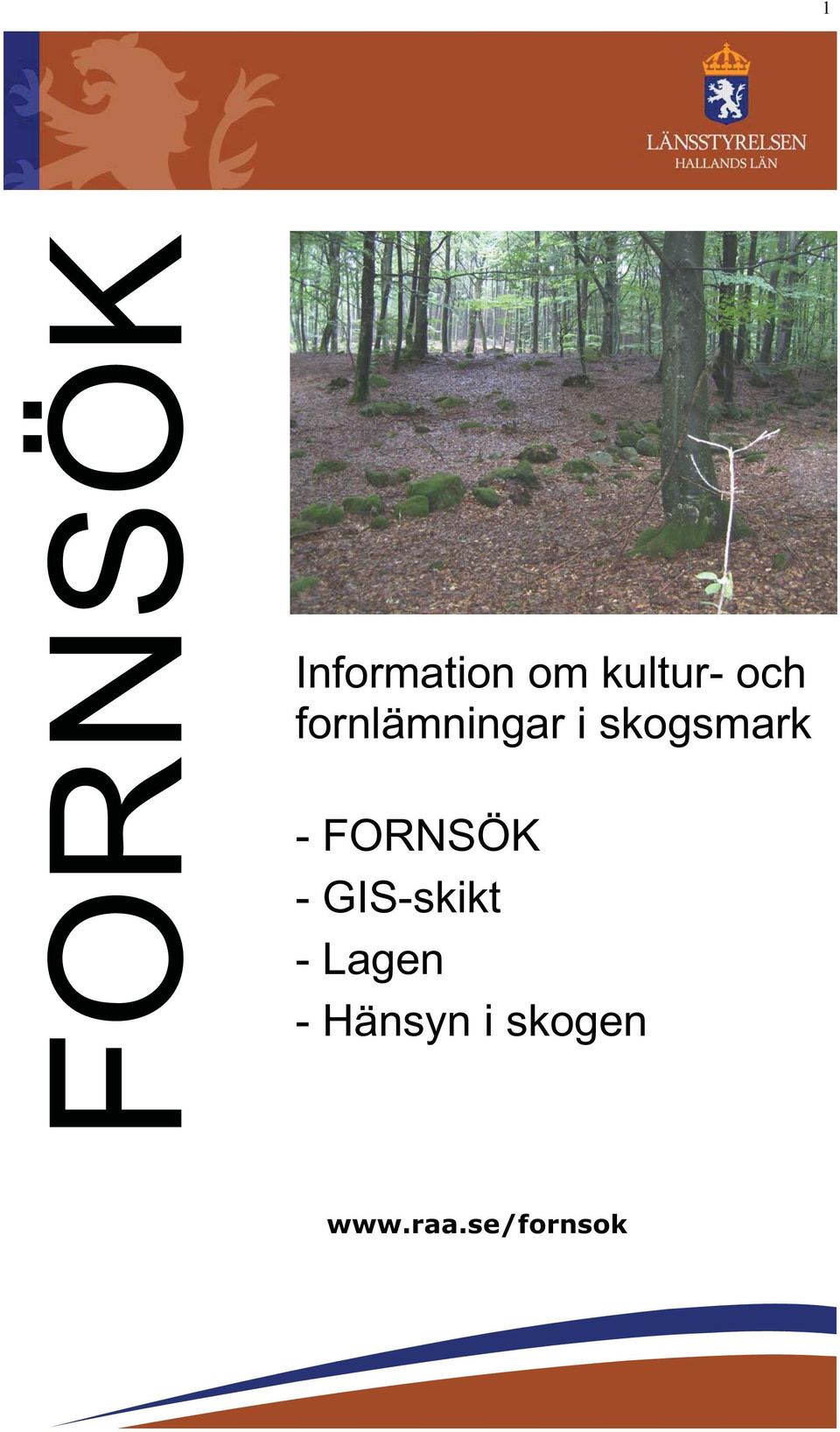 FORNSÖK - GIS-skikt - Lagen -