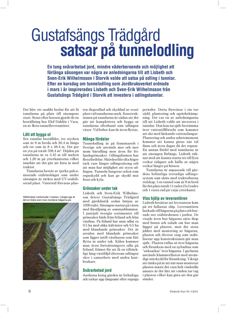 Efter en kursdag om tunnelodling som Jordbruksverket ordnade i mars i år inspirerades Lisbeth och Sven-Erik Wilhelmsson från Gustafsängs Trädgård i Storvik att investera i odlingstunnlar.