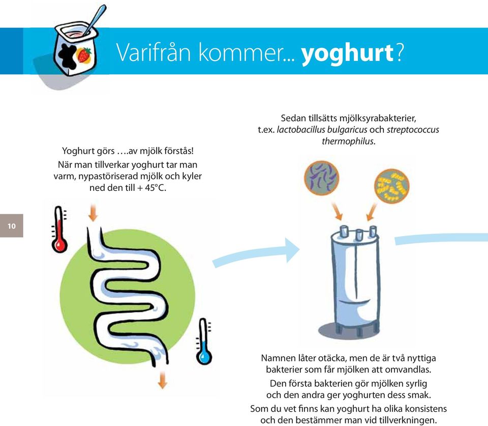 Sedan tillsätts mjölksyrabakterier, t.ex. lactobacillus bulgaricus och streptococcus thermophilus.