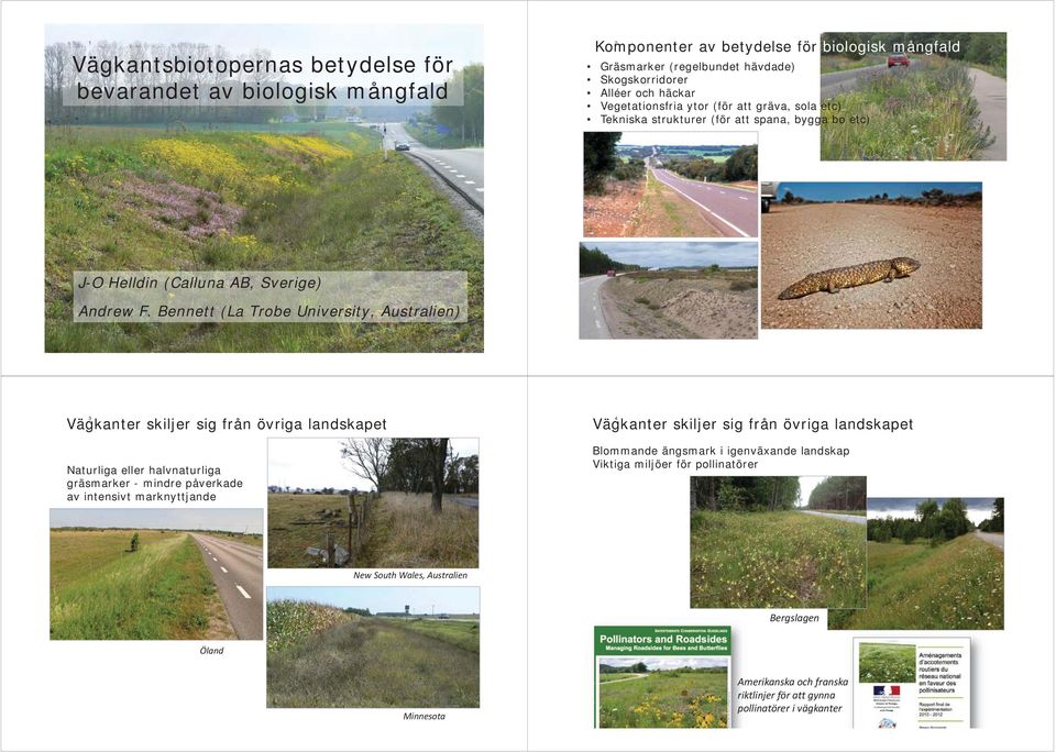 2 Komponenter av betydelse för biologisk mångfald Gräsmarker (regelbundet hävdade) Skogskorridorer Alléer och häckar Vegetationsfria ytor (för att gräva, sola etc) Tekniska strukturer (för att spana,