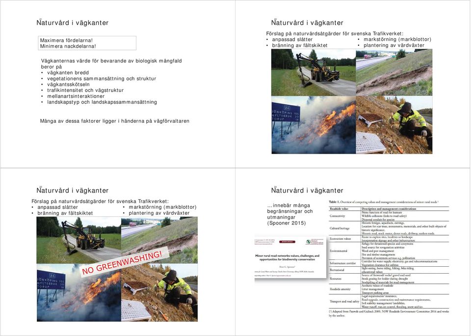 bevarande av biologisk mångfald beror på vägkanten bredd vegetationens sammansättning och struktur vägkantsskötseln trafikintensitet och vägstruktur mellanartsinteraktioner