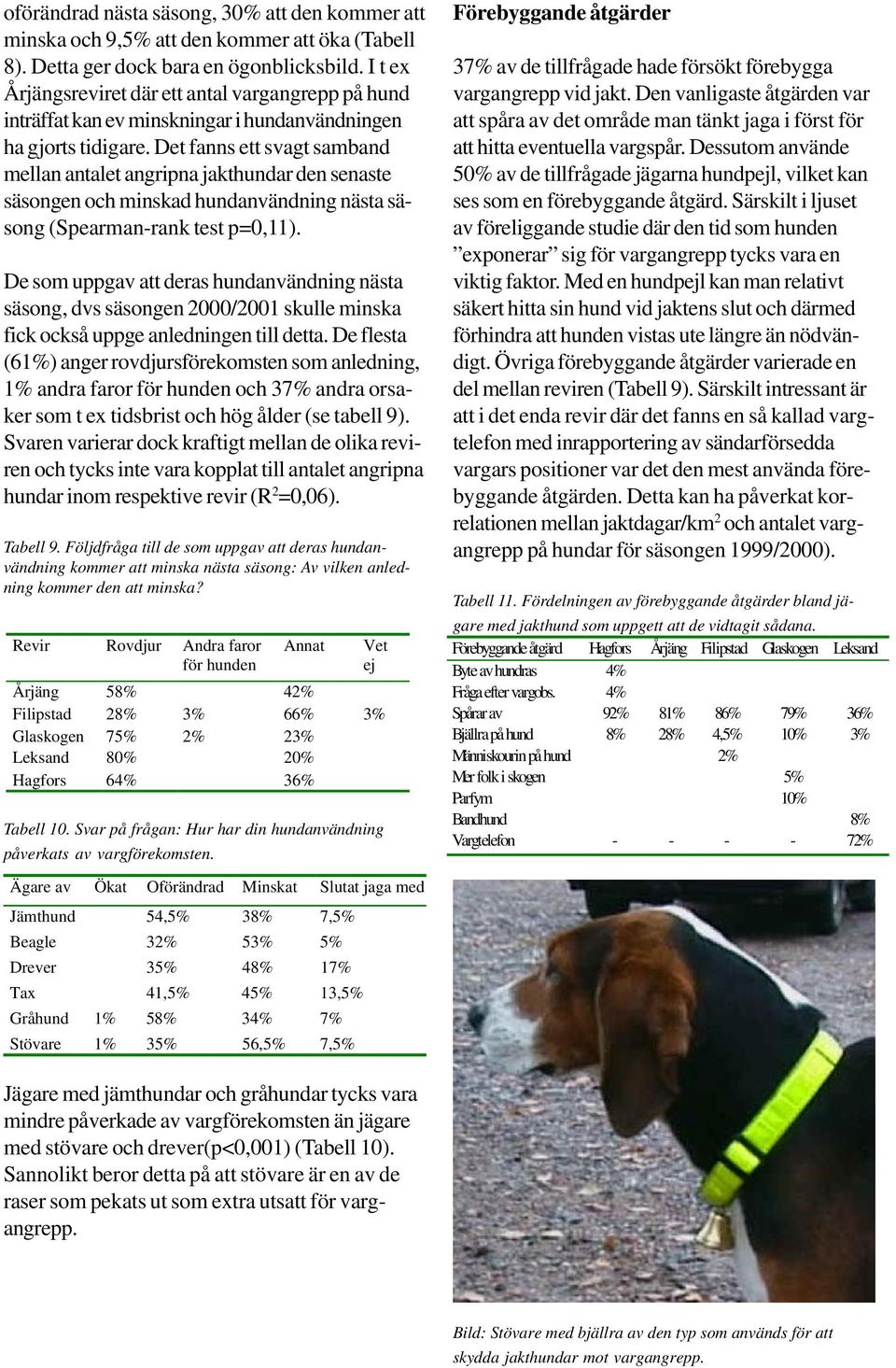 Det fanns ett svagt samband mellan antalet angripna jakthundar den senaste säsongen och minskad hundanvändning nästa säsong (Spearman-rank test p=0,11).