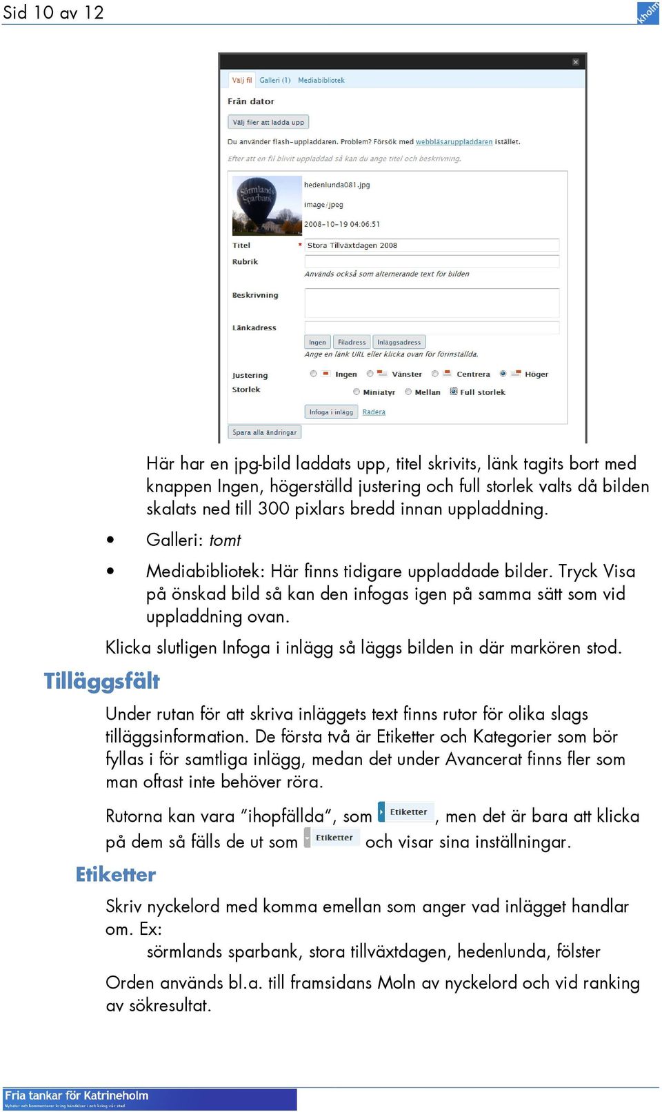 Klicka slutligen Infoga i inlägg så läggs bilden in där markören stod. Under rutan för att skriva inläggets text finns rutor för olika slags tilläggsinformation.