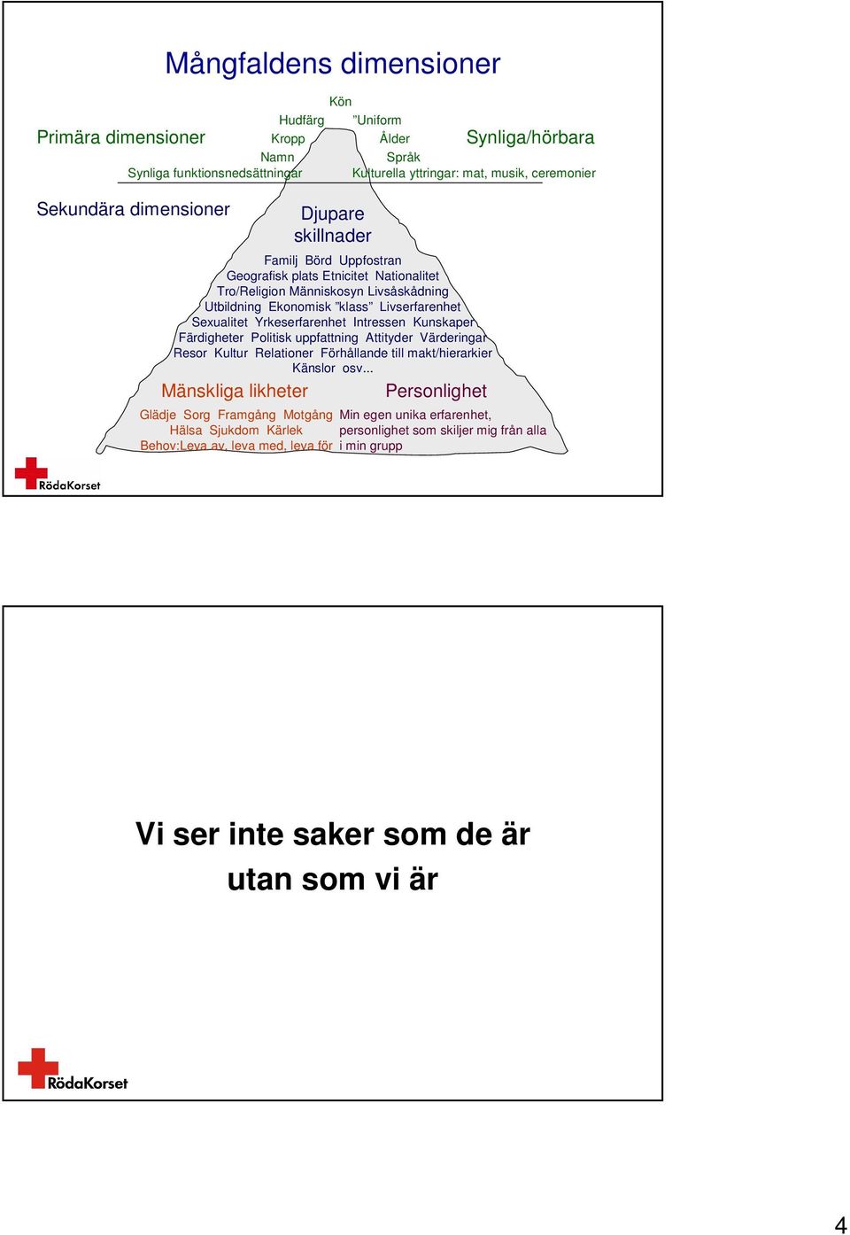 Yrkeserfarenhet Intressen Kunskaper Färdigheter Politisk uppfattning Attityder Värderingar Resor Kultur Relationer Förhållande till makt/hierarkier Känslor osv.