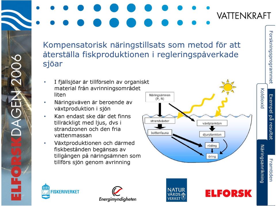 Kan endast ske där det finns tillräckligt med ljus, dvs i strandzonen och den fria vattenmassan Växtproduktionen och