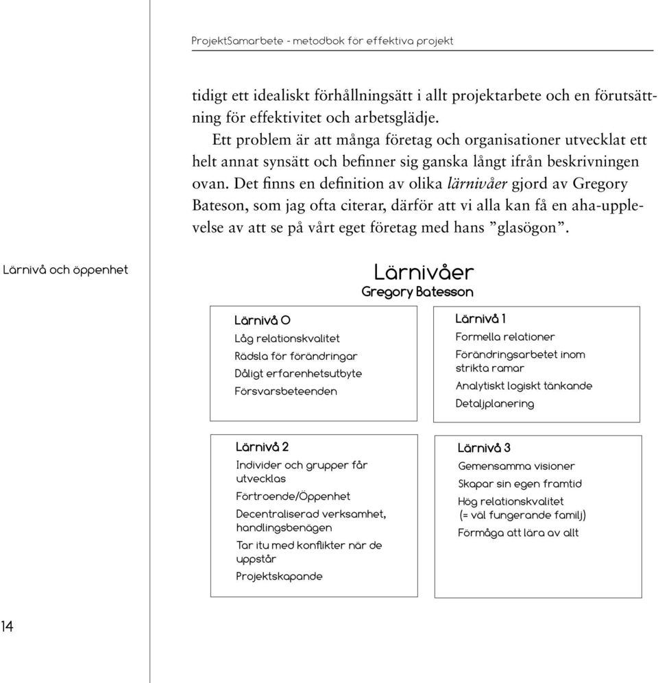 Det finns en definition av olika lärnivåer gjord av Gregory Bateson, som jag ofta citerar, därför att vi alla kan få en aha-upplevelse av att se på vårt eget företag med hans glasögon.