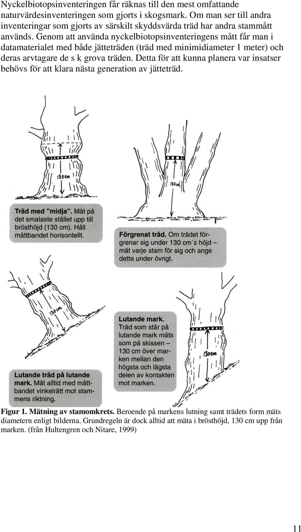 Genom att använda nyckelbiotopsinventeringens mått får man i datamaterialet med både jätteträden (träd med minimidiameter 1 meter) och deras arvtagare de s k grova träden.