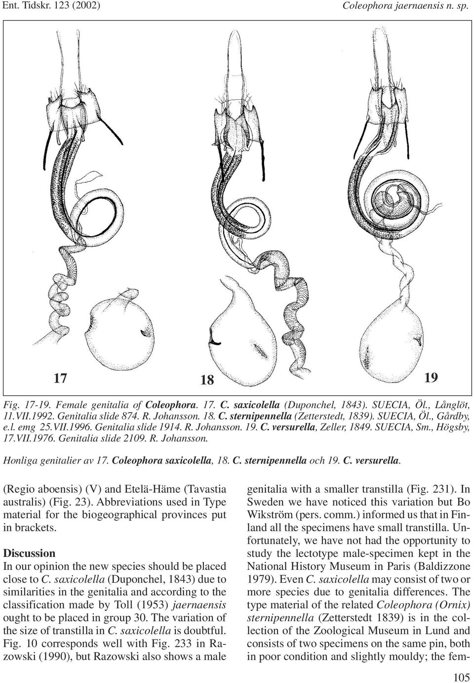 Coleophora saxicolella, 18. C. sternipennella och 19. C. versurella. (Regio aboensis) (V) and Etelä-Häme (Tavastia australis) (Fig. 23).