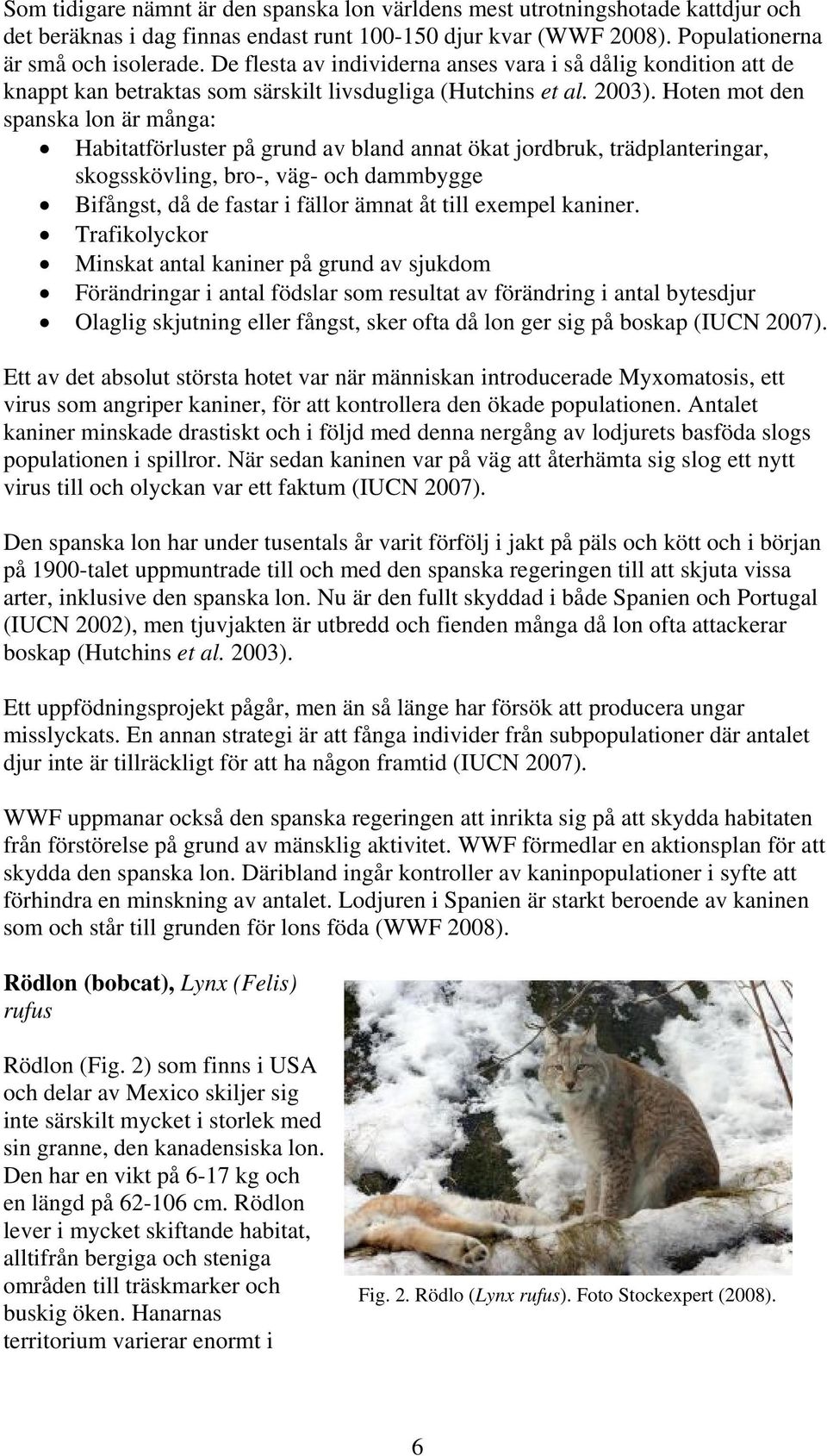 Hoten mot den spanska lon är många: Habitatförluster på grund av bland annat ökat jordbruk, trädplanteringar, skogsskövling, bro-, väg- och dammbygge Bifångst, då de fastar i fällor ämnat åt till