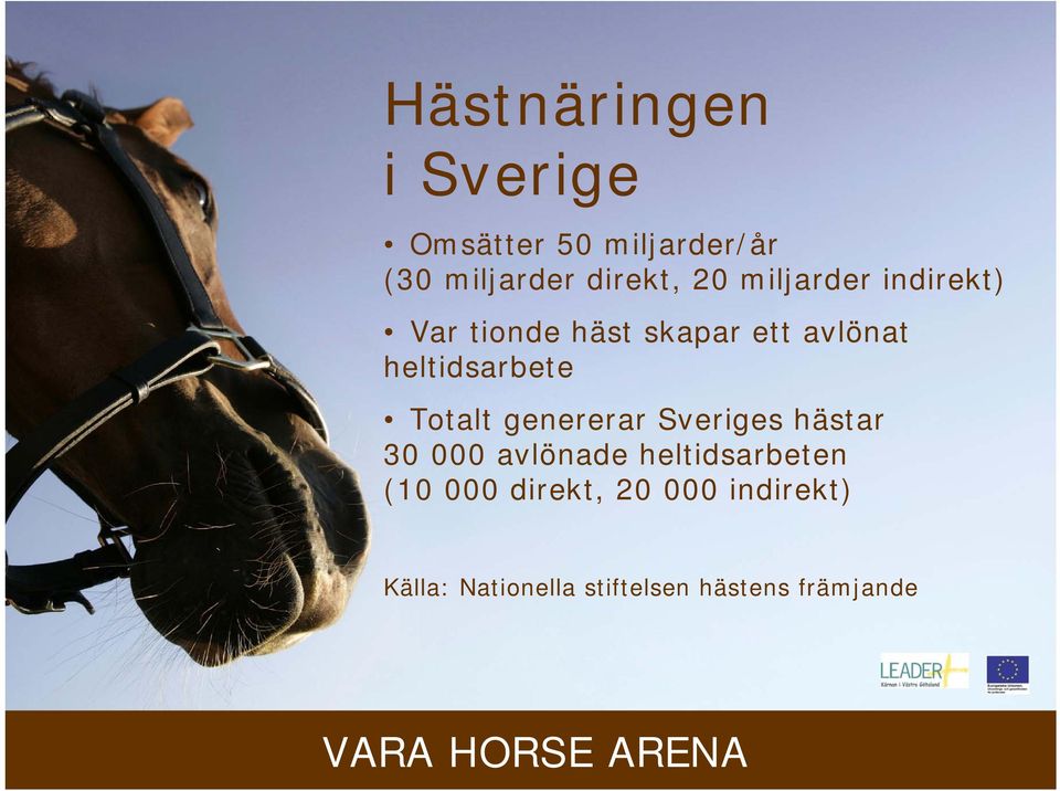 Totalt genererar Sveriges hästar 30 000 avlönade heltidsarbeten (10 000