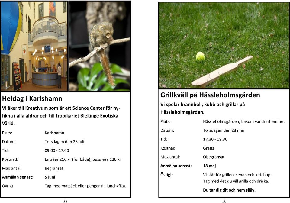 Grillkväll på Hässleholmsgården Vi spelar brännboll, kubb och grillar på Hässleholmsgården.
