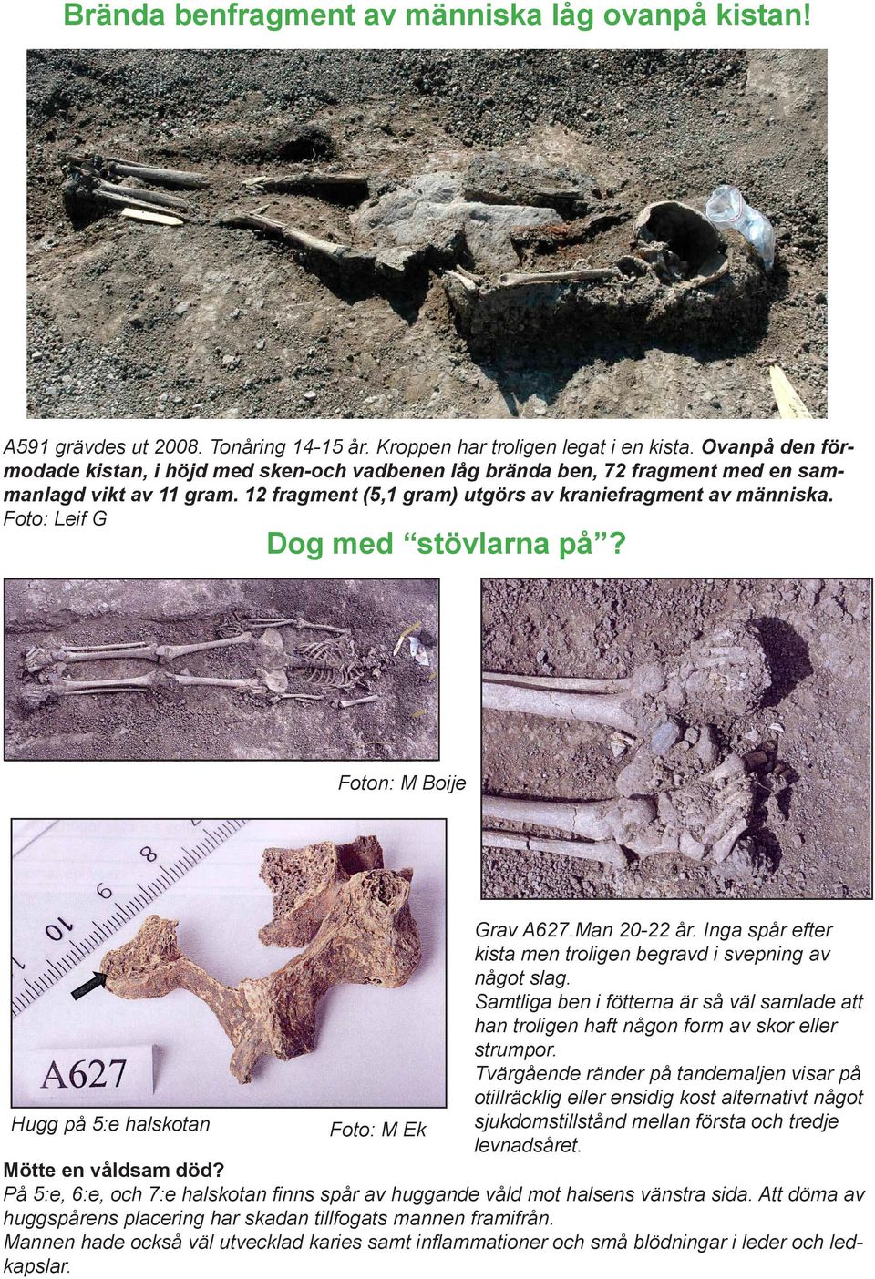 Foto: Leif G Dog med stövlarna på? Foton: M Boije Hugg på 5:e halskotan Foto: M Ek Grav A627.Man 20-22 år. Inga spår efter kista men troligen begravd i svepning av något slag.