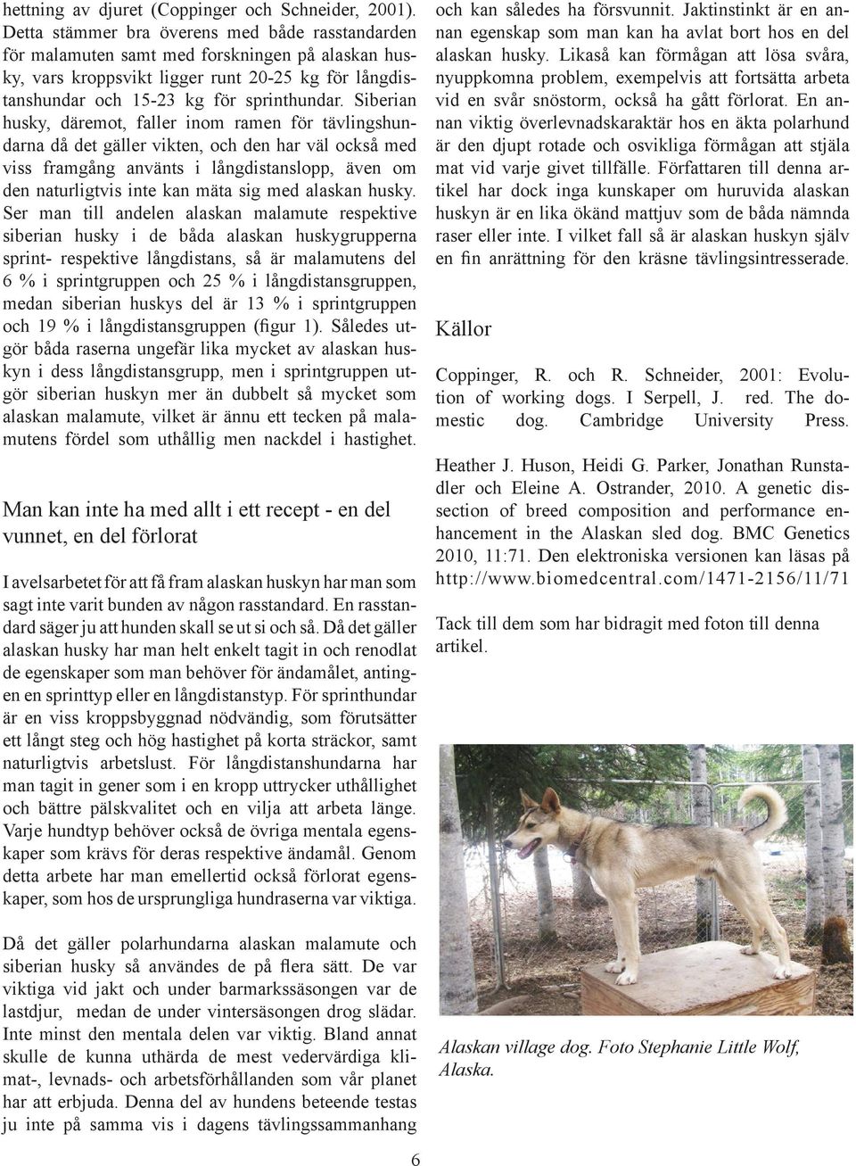 Siberian husky, däremot, faller inom ramen för tävlingshundarna då det gäller vikten, och den har väl också med viss framgång använts i långdistanslopp, även om den naturligtvis inte kan mäta sig med