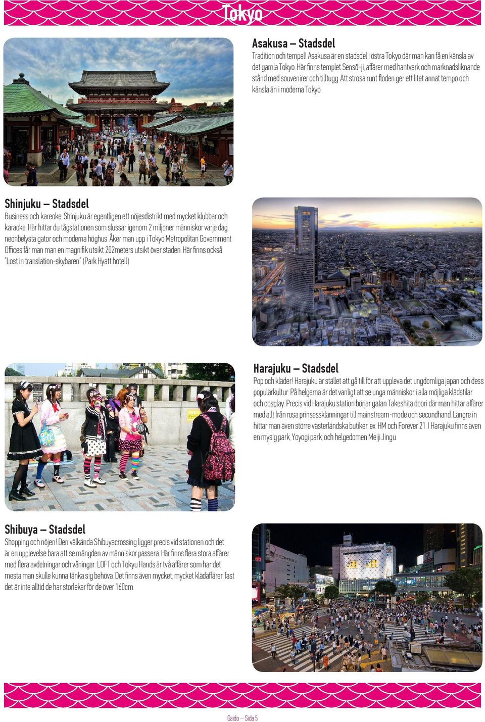Shinjuku Stadsdel Business och kareoke. Shinjuku är egentligen ett nöjesdistrikt med mycket klubbar och karaoke.