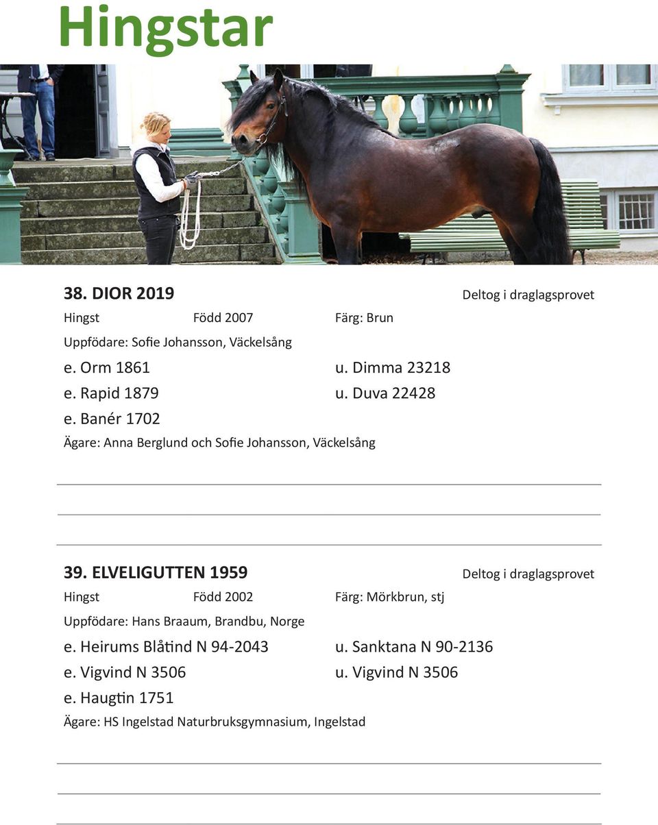 ELVELIGUTTEN 1959 Deltog i draglagsprovet Hingst Född 2002 Färg: Mörkbrun, stj Uppfödare: Hans Braaum, Brandbu, Norge e.