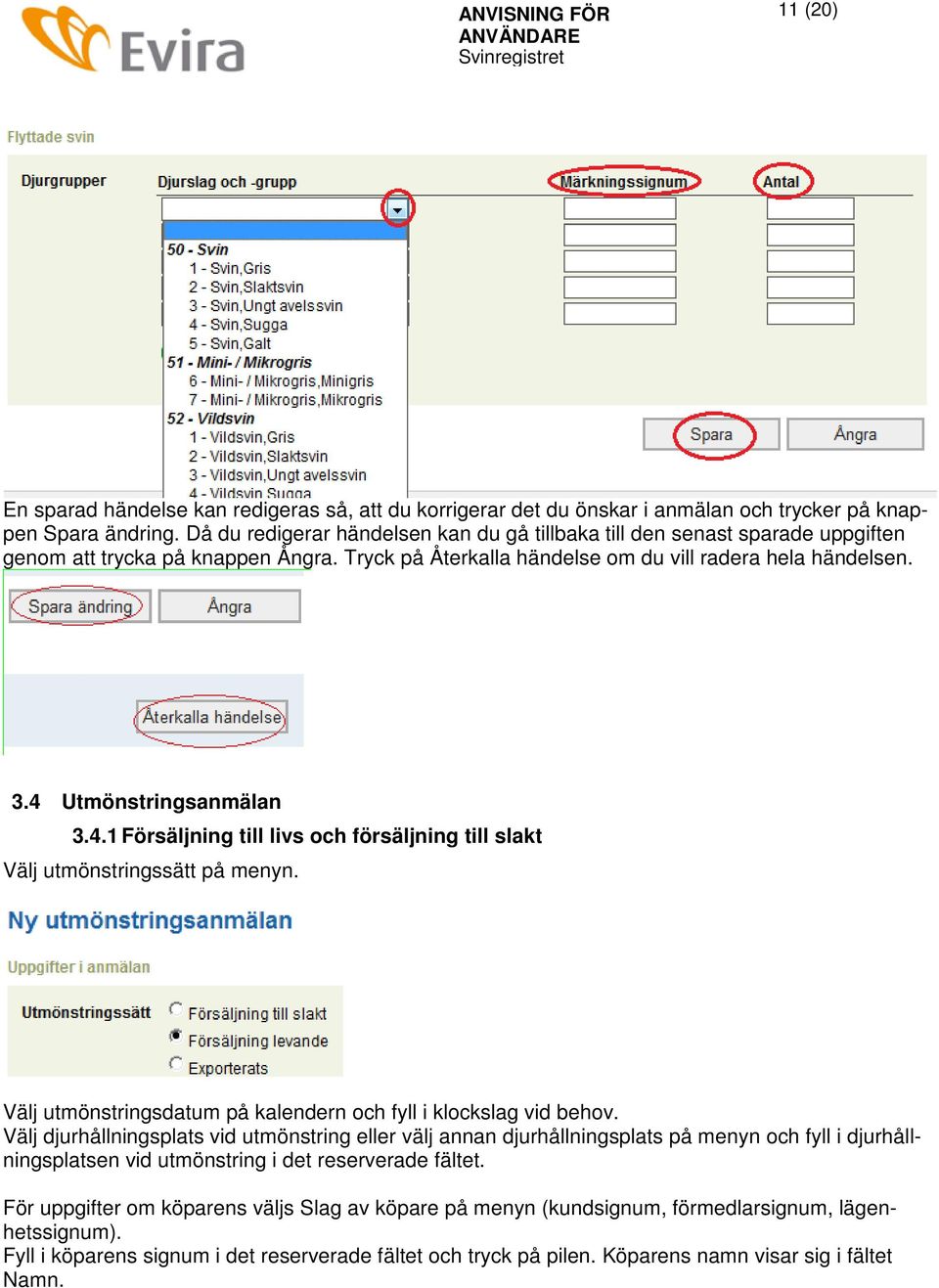 4 Utmönstringsanmälan 3.4.1 Försäljning till livs och försäljning till slakt Välj utmönstringssätt på menyn. Välj utmönstringsdatum på kalendern och fyll i klockslag vid behov.