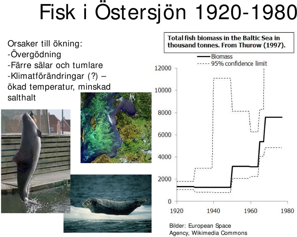 -Klimatförändringar (?