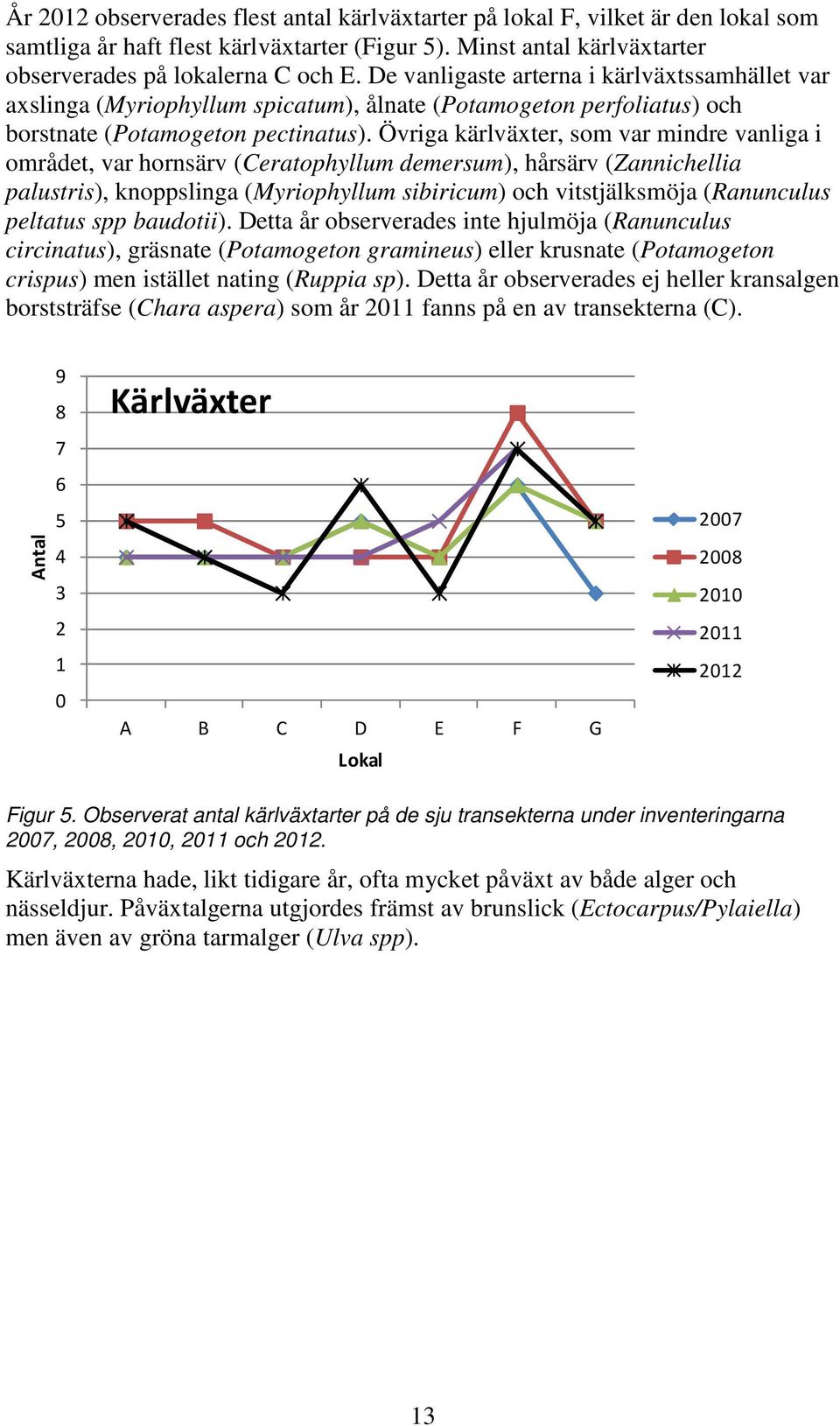 Övriga kärlväxter, som var mindre vanliga i området, var hornsärv (Ceratophyllum demersum), hårsärv (Zannichellia palustris), knoppslinga (Myriophyllum sibiricum) och vitstjälksmöja (Ranunculus