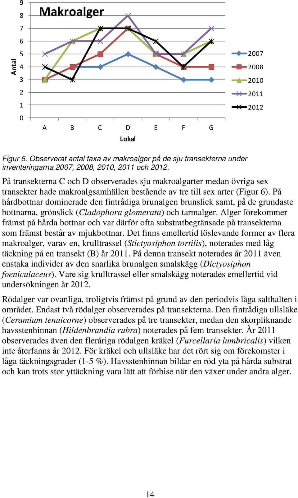 På transekterna C och D observerades sju makroalgarter medan övriga sex transekter hade makroalgsamhällen bestående av tre till sex arter (Figur 6).