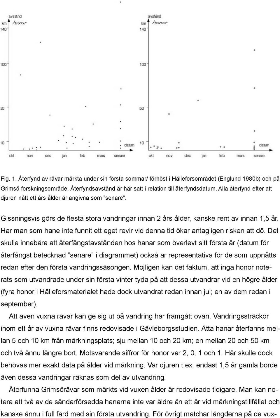 Har man som hane inte funnit ett eget revir vid denna tid ökar antagligen risken att dö.